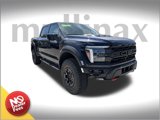 New 2025 Ford F150 Raptor image 1
