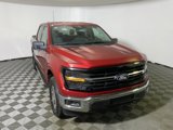 New 2025 Ford F150 XLT w/ Equipment Group 301A Standard image 6