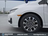 New 2025 Honda Odyssey Elite image 5