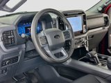 New 2025 Ford F150 XLT image 4