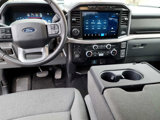 Used 2024 Ford F150 XLT image 5
