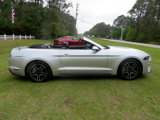 Used 2019 Ford Mustang Premium image 5