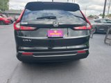 Used 2025 Honda CR-V EX image 3