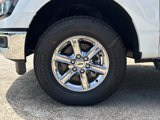 New 2025 Ford F150 XLT w/ Equipment Group 302A MID image 3