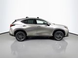 New 2025 Lexus NX 350h AWD w/ Premium Package image 4