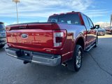Used 2023 Ford F150 Lariat image 5