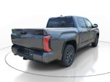New 2025 Toyota Tundra Platinum image 4
