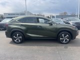 Used 2021 Lexus NX 300 AWD w/ Premium Package image 5