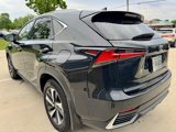 Used 2021 Lexus NX 300h AWD w/ Premium Package image 5