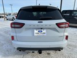 New 2025 Ford Escape ST-Line Elite w/ Premium Technology Package image 4