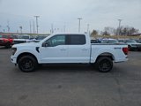 New 2025 Ford F150 XLT w/ Equipment Group 302A MID image 4