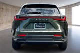 New 2026 Lexus NX 350 AWD w/ Premium Package image 4