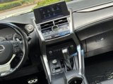 Used 2019 Lexus NX 300 F Sport w/ F Sport Premium Package image 5