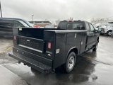 New 2025 Ford F250 XL image 3