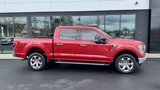Used 2022 Ford F150 XLT w/ Equipment Group 302A High image 2