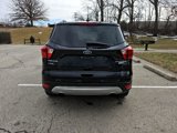 Used 2019 Ford Escape Titanium image 6