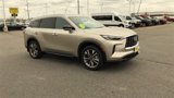 Used 2024 INFINITI QX60 Luxe w/ Vision Package image 2
