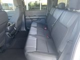 New 2025 Ford F150 STX w/ STX Black Appearance Package image 4