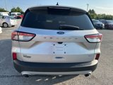 Used 2020 Ford Escape SE Sport image 6