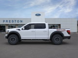 New 2025 Ford F150 Raptor image 4