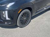 New 2025 Hyundai Palisade Calligraphy image 2