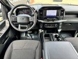 Used 2023 Ford F150 XL w/ STX Appearance Package image 5