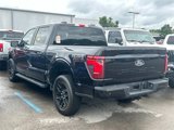 Certified 2024 Ford F150 STX w/ STX Black Appearance Package image 5