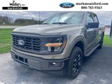 New 2025 Ford F150 STX image 3