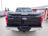 Used 2015 Ford F150 Lariat image 5