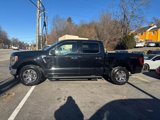 Used 2021 Ford F150 XLT w/ Equipment Group 302A High image 4