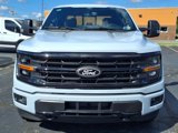New 2025 Ford F150 XLT image 2