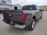 New 2025 Ford F150 Lariat image 5