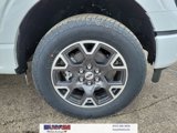 New 2025 Ford F150 STX w/ Equipment Group 200A image 5