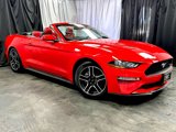 Used 2021 Ford Mustang Premium w/ Equipment Group 201A image 4