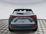 Used 2025 Lexus NX 350 AWD w/ Premium Package image 3