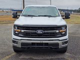 New 2025 Ford F150 XLT w/ Equipment Group 303A High image 3