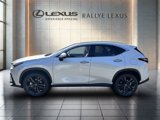 New 2025 Lexus NX 450h+ AWD w/ Luxury Package image 6