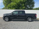 Used 2019 Ford F150 XLT w/ Equipment Group 302A Luxury image 2
