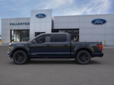New 2025 Ford F150 XLT w/ Equipment Group 303A High image 3