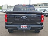 Certified 2021 Ford F150 XLT w/ Equipment Group 302A High image 5
