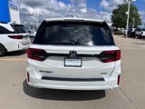 New 2026 Honda Odyssey Sport-L image 3
