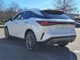 New 2025 Lexus RX 450h AWD w/ Luxury Package image 3