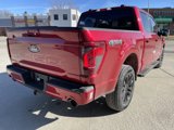 New 2025 Ford F150 XLT image 4