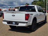 New 2025 Ford F150 XLT w/ Equipment Group 302A MID image 5