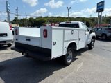 New 2025 Chevrolet Silverado 3500 W/T w/ WT Convenience Package image 4