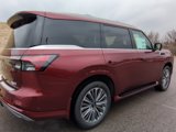 New 2025 INFINITI QX80 Luxe w/ Exterior Package image 5