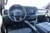 New 2025 Ford F150 Platinum w/ Equipment Group 702A High image 2
