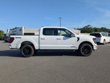 New 2025 Ford F150 XLT image 3