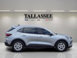 Used 2024 Ford Escape Active w/ Tech Pack #1 image 4
