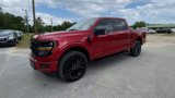 New 2025 Ford F150 XLT w/ Equipment Group 302A MID image 4